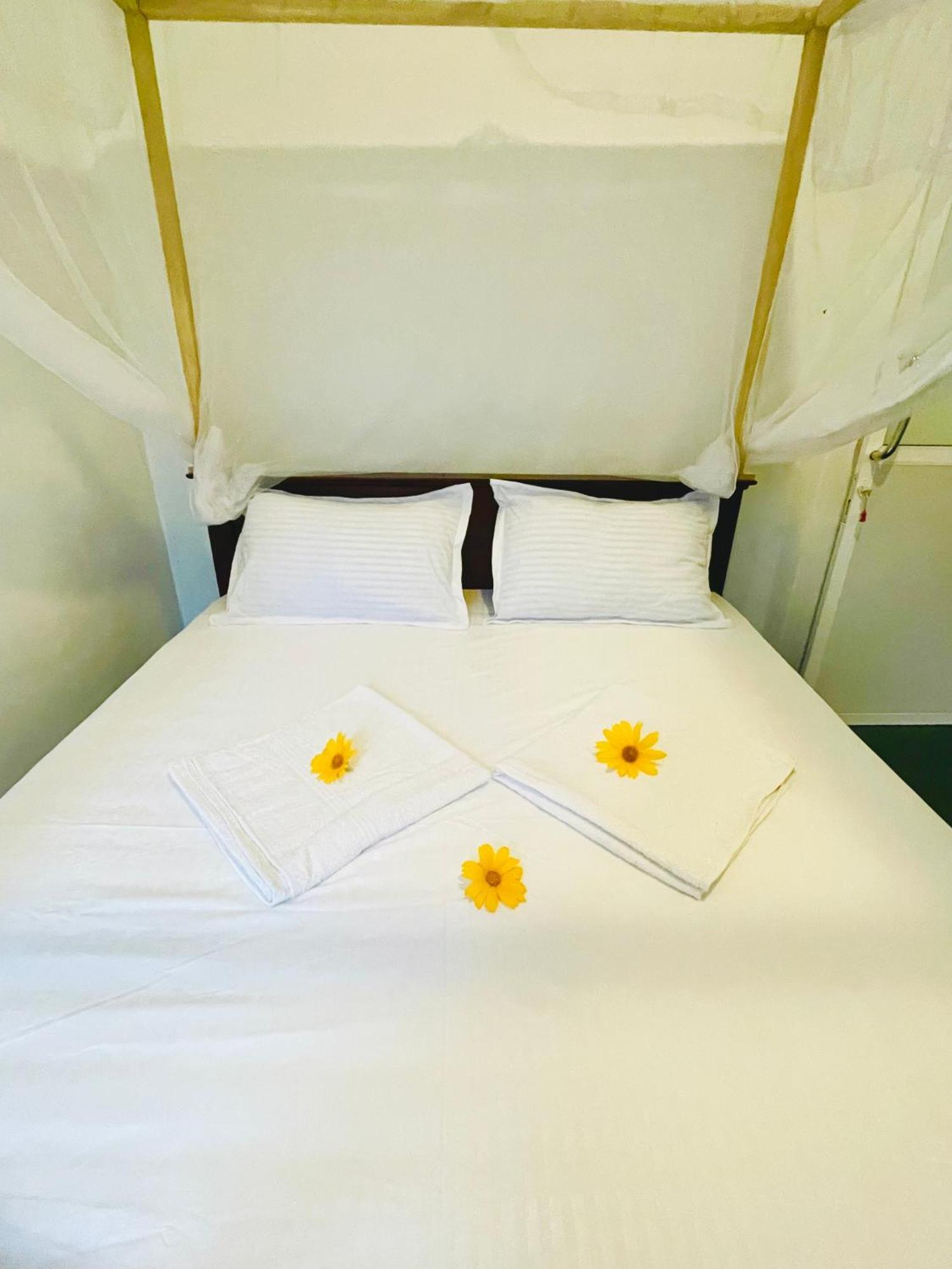 White Hill House Hiriketiya Hotel Dikwella Bagian luar foto